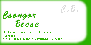 csongor becse business card